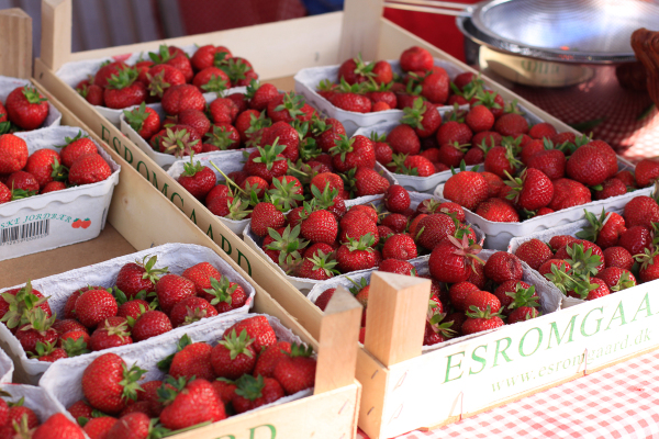 Gilleleje, a day trip with toddlers from Copenhagen on the Danish Riviera.